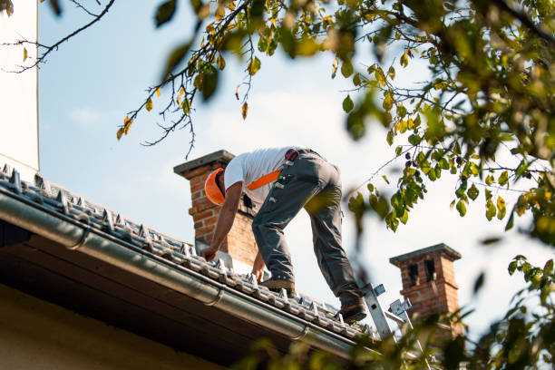 Best Commercial Roofing Services  in Pocono Woodland Lakes, PA